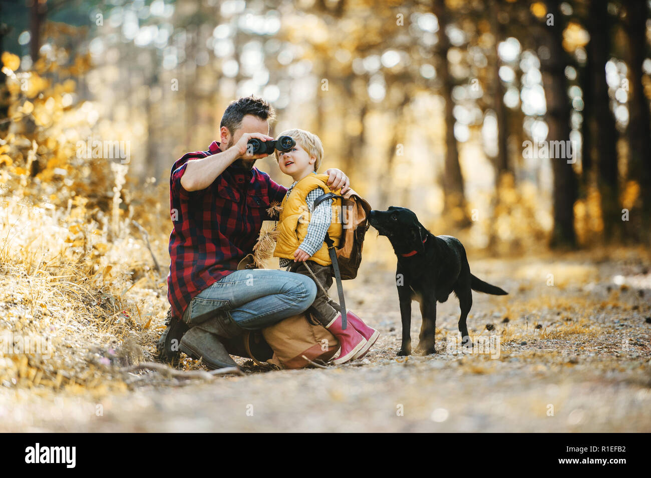 Eine ausgereifte Vater mit einem Hund und ein Kleinkind Sohn in einem Wald, mit Fernglas. Stockfoto