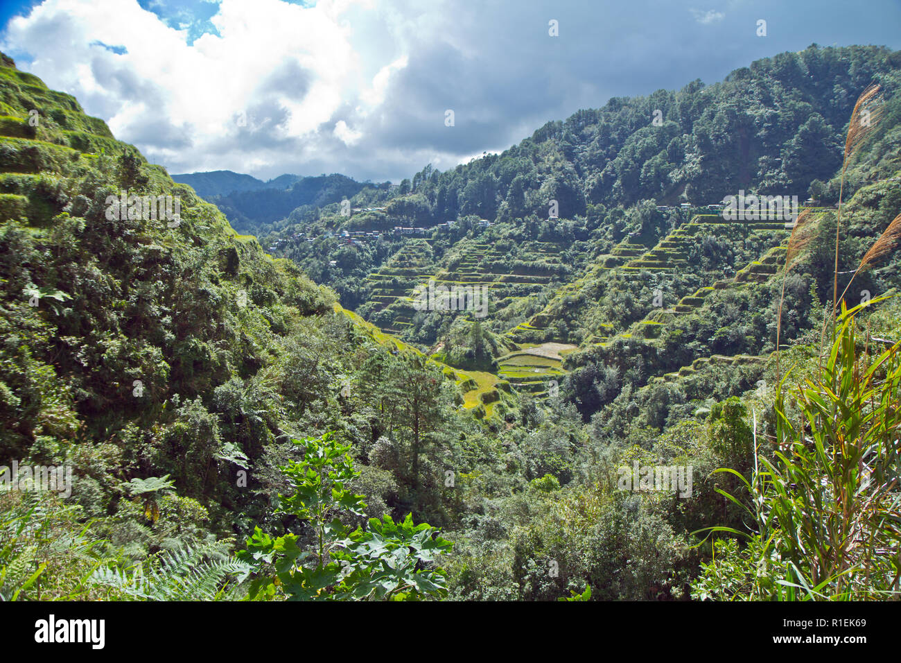 Die Banaue Rice Terraces sind in den Bergen von Ifugao auf den Philippinen von den Vorfahren der indigenen Bevölkerung geschnitzt. Stockfoto