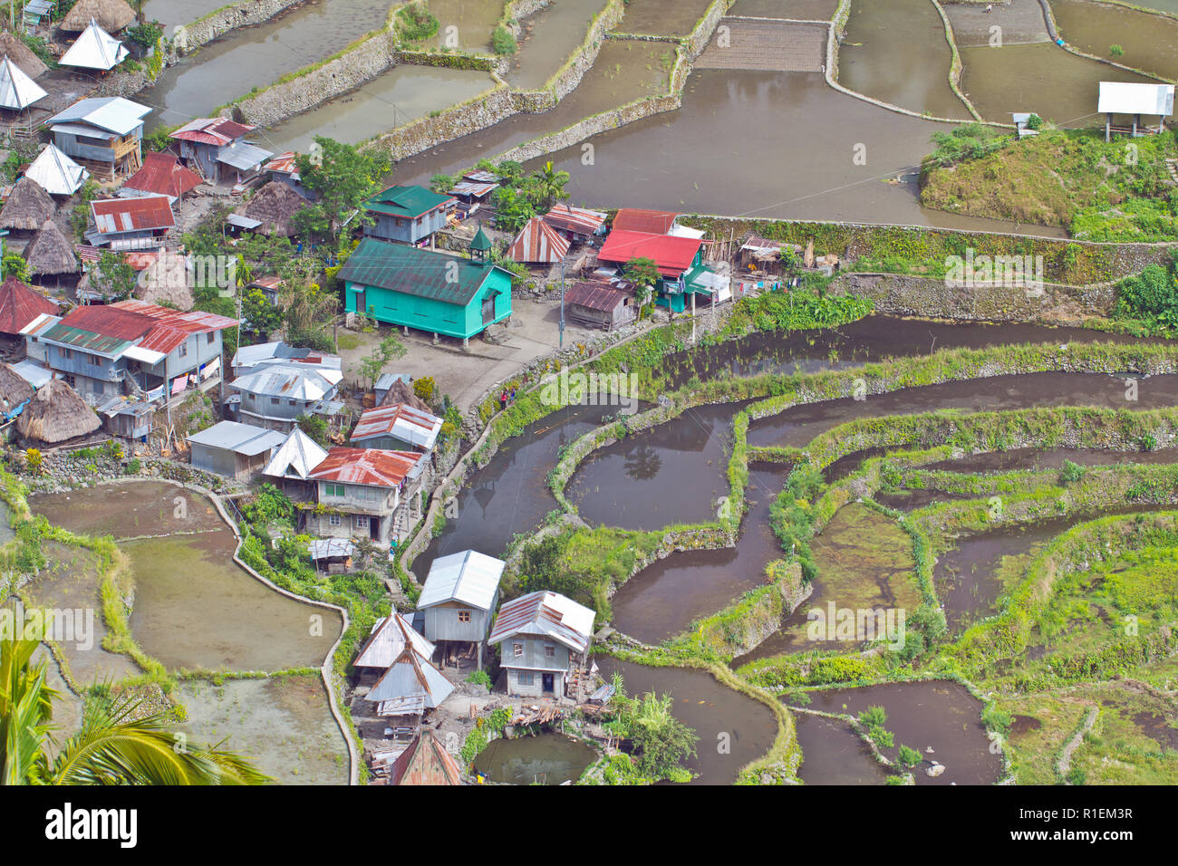 Batad ist ein Dorf von rund 1500 Menschen in Ifugao Provinz. Es heisst, die Heimat der besten und gut erhaltenen Reisterrassen. Stockfoto