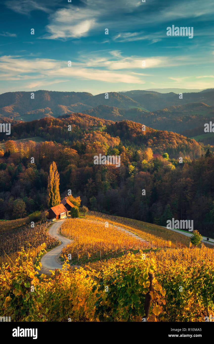 Berühmte herzförmige Weinstraße in Slowenien, Ansicht von Spicnik in der Nähe von Maribor. Stockfoto