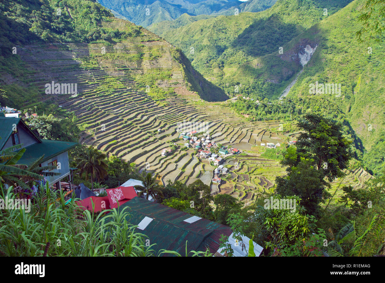 Batad ist ein Dorf von rund 1500 Menschen in Ifugao Provinz. Es heisst, die Heimat der besten und gut erhaltenen Reisterrassen. Stockfoto