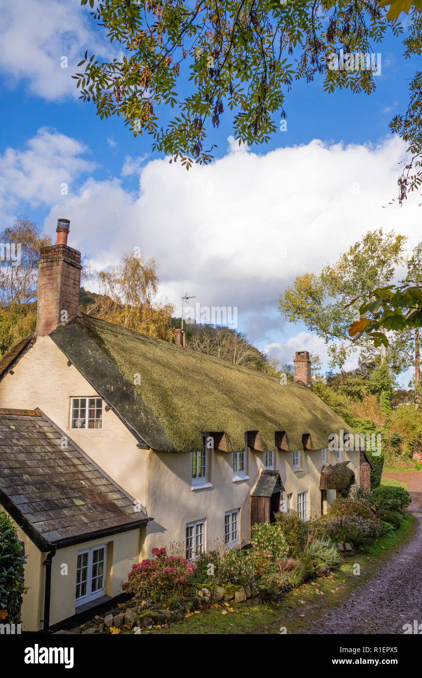 Reetgedeckte Cottages im malerischen Dorf Dunster, Somerset, England, Großbritannien Stockfoto