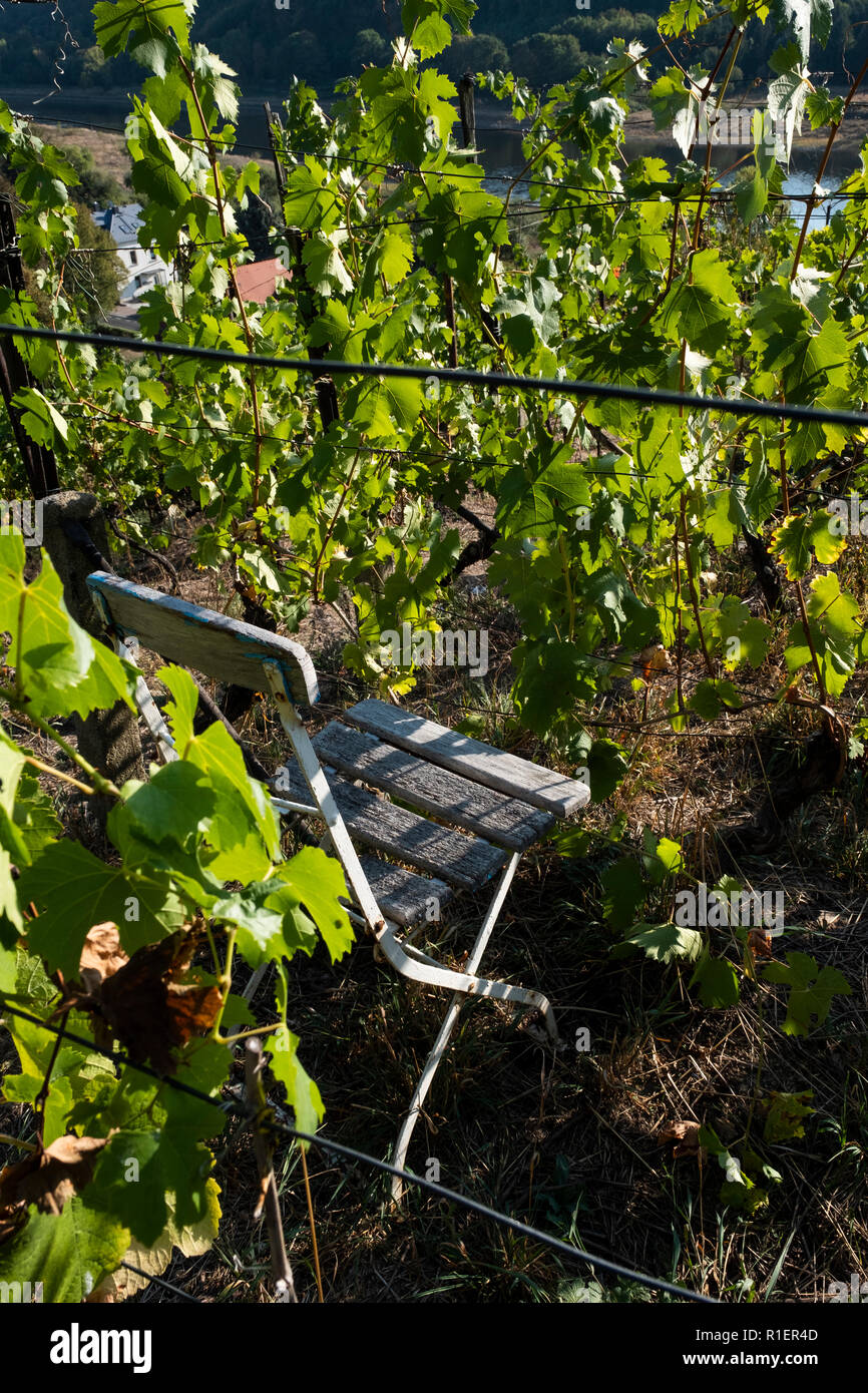 Ein alter Holzstuhl, an einem sonnigen Weinberg Stockfoto