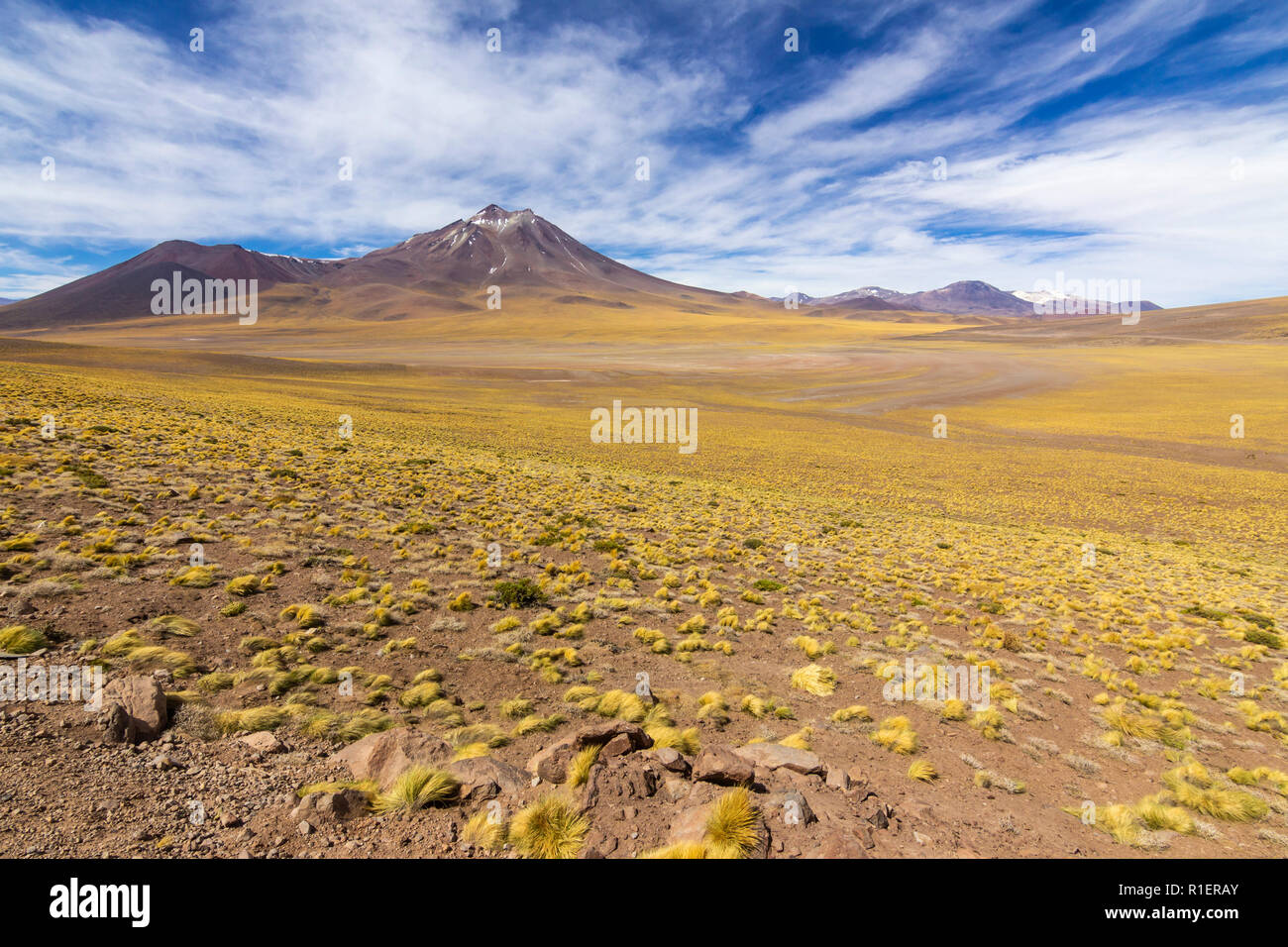 Die herrliche Aussicht auf die Landschaft in der Wüste von Atacama Altiplano, auf mehr als 4.000 m eine eindrucksvolle Landschaft der Wüste zu einem unendlichen Horizont gehen Stockfoto