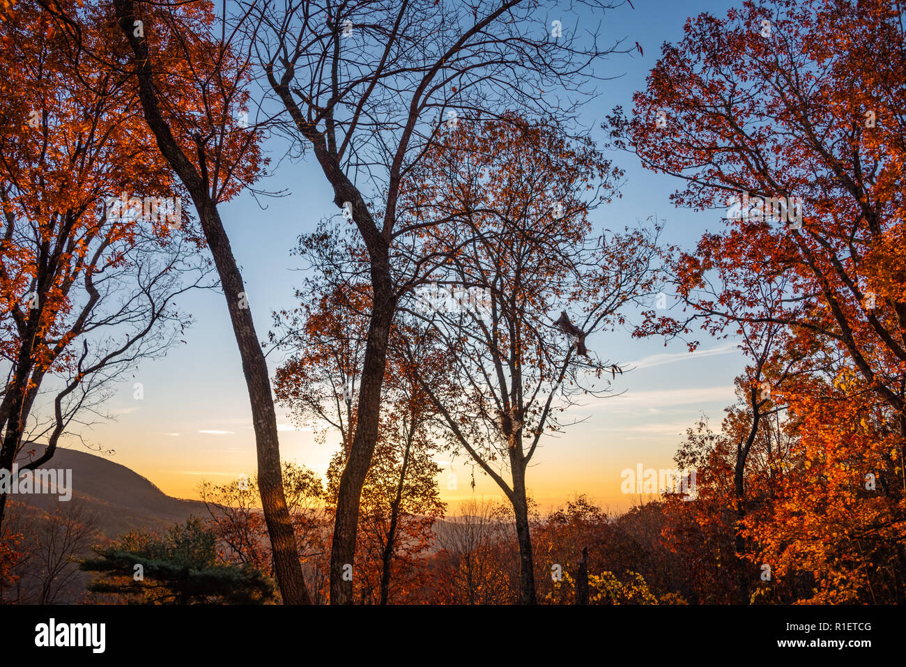 Sunrise Bergblick in den Blue Ridge Mountains im Sapphire, North Carolina. (USA) Stockfoto