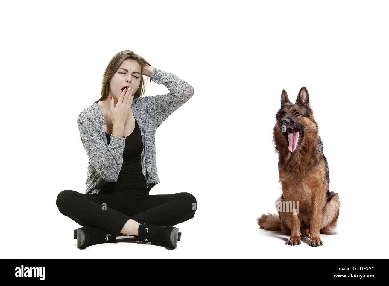 Die gähnende Langeweile Frau und ihr Hund mit weißem Hintergrund. Shetland Sheepdog vor einem weißen Hintergrund Studio sitzen. Das Konzept von Menschen und Tieren gleichen Emotionen Stockfoto