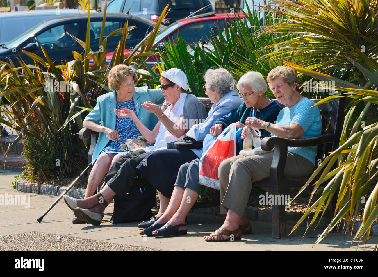 Fünf weibliche Rentner zusammen sitzen auf einer Bank in der Sonne, Eastbourne, England, Großbritannien Stockfoto