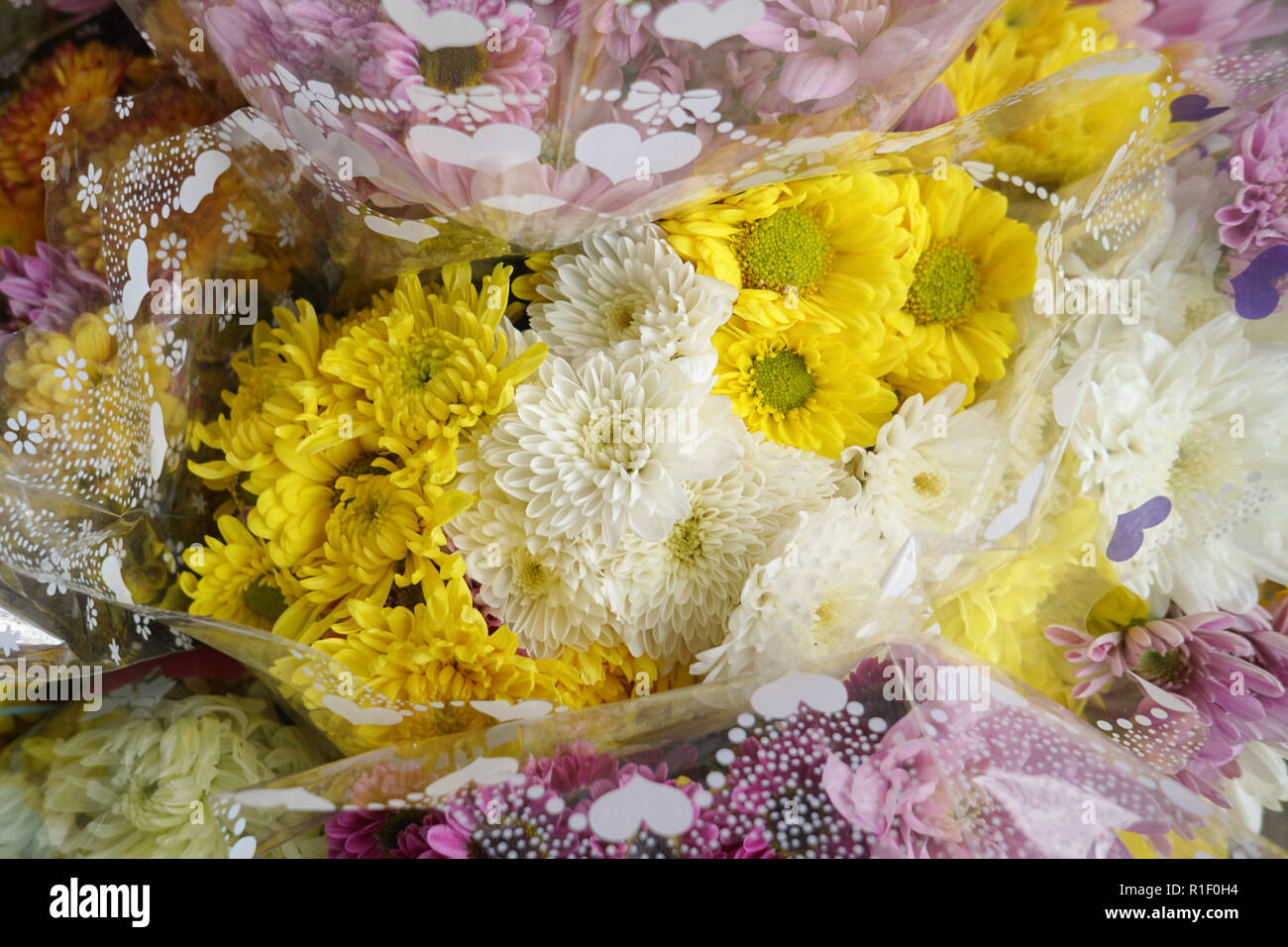 Schönen bunten Blumenstrauß Stockfoto