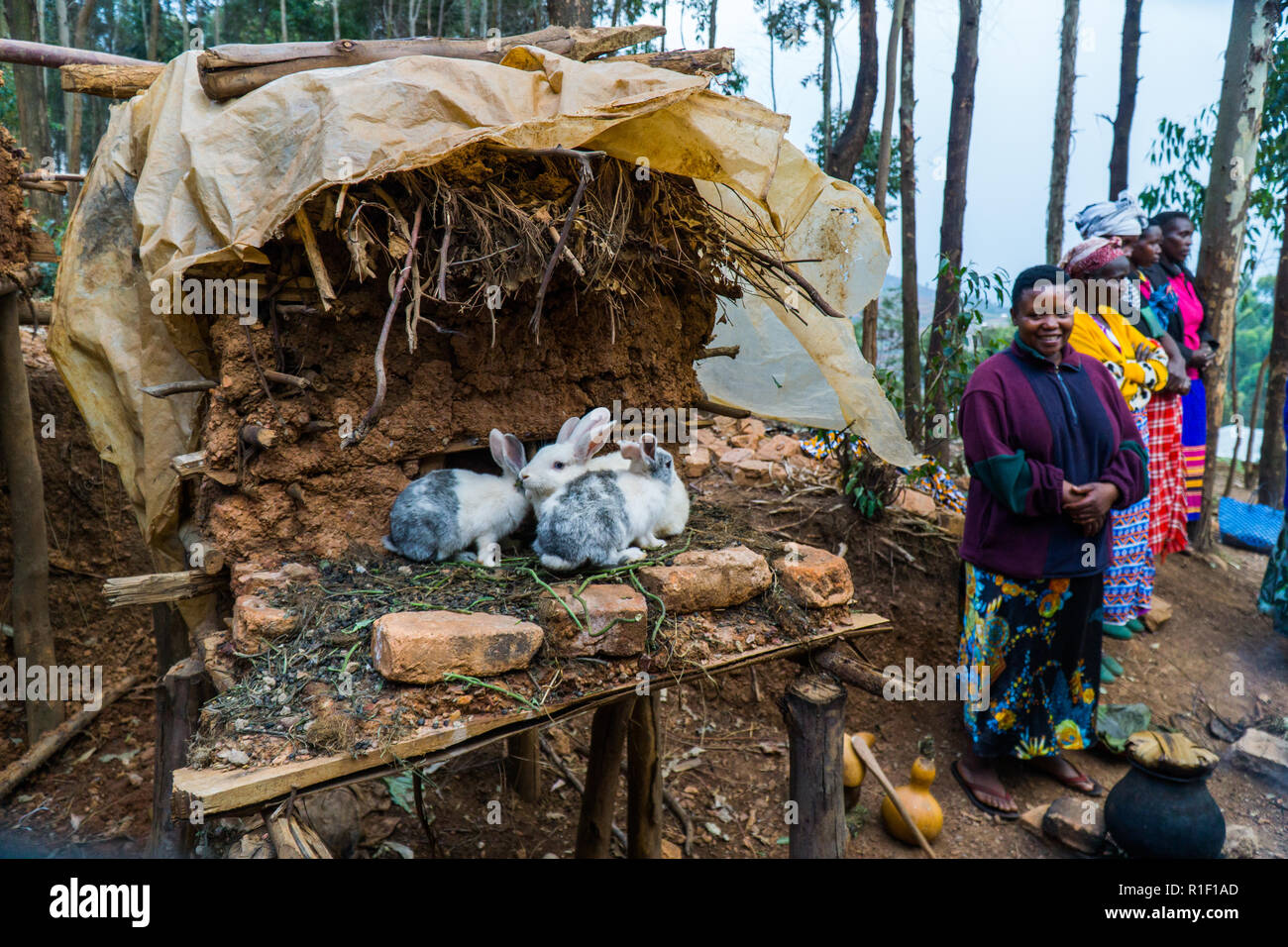Dorfbewohner in Uganda und Haus Kaninchen Stockfoto
