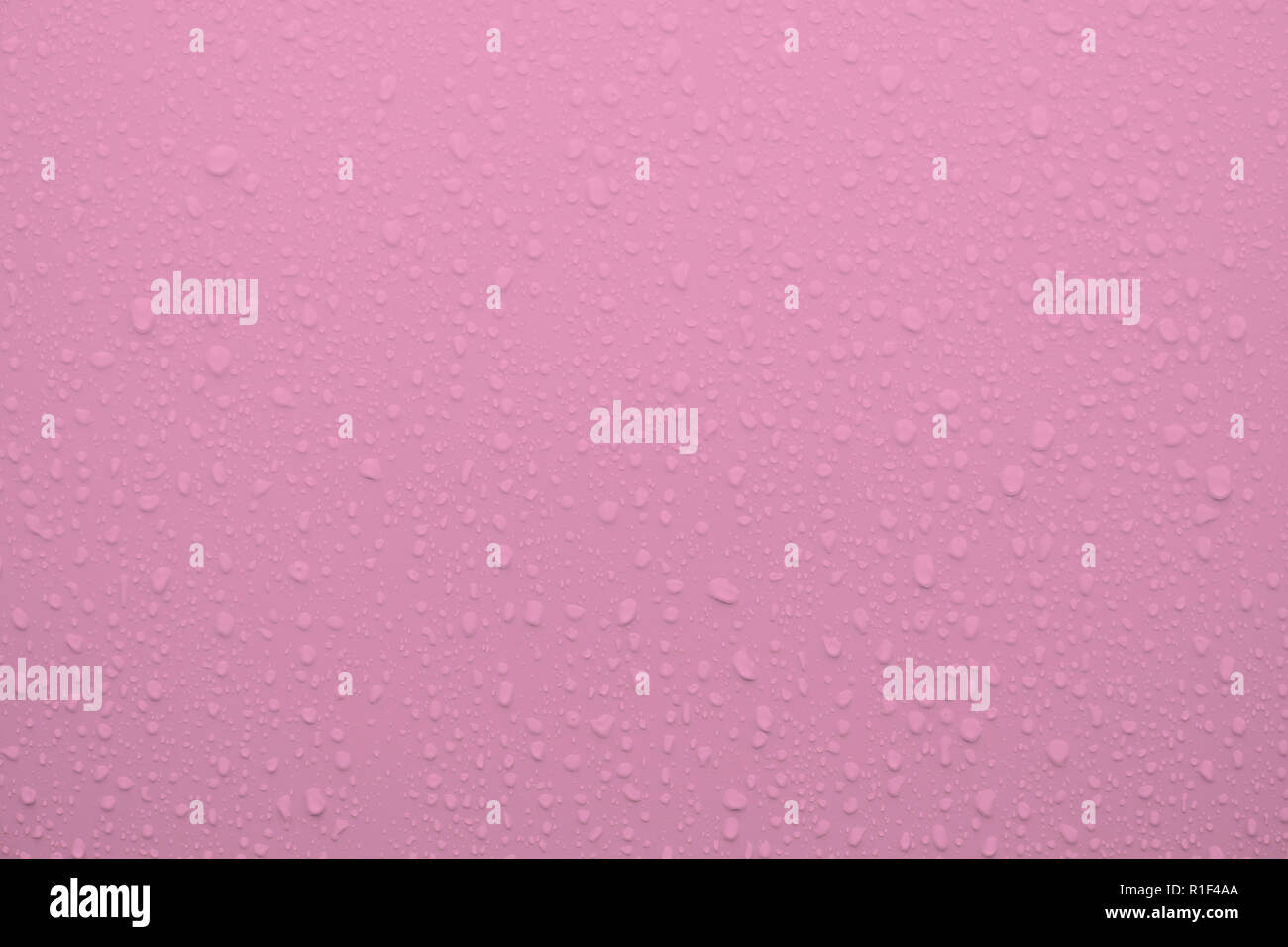 Wassertropfen auf einem Pastell rosa Oberfläche als Hintergrund. Stockfoto