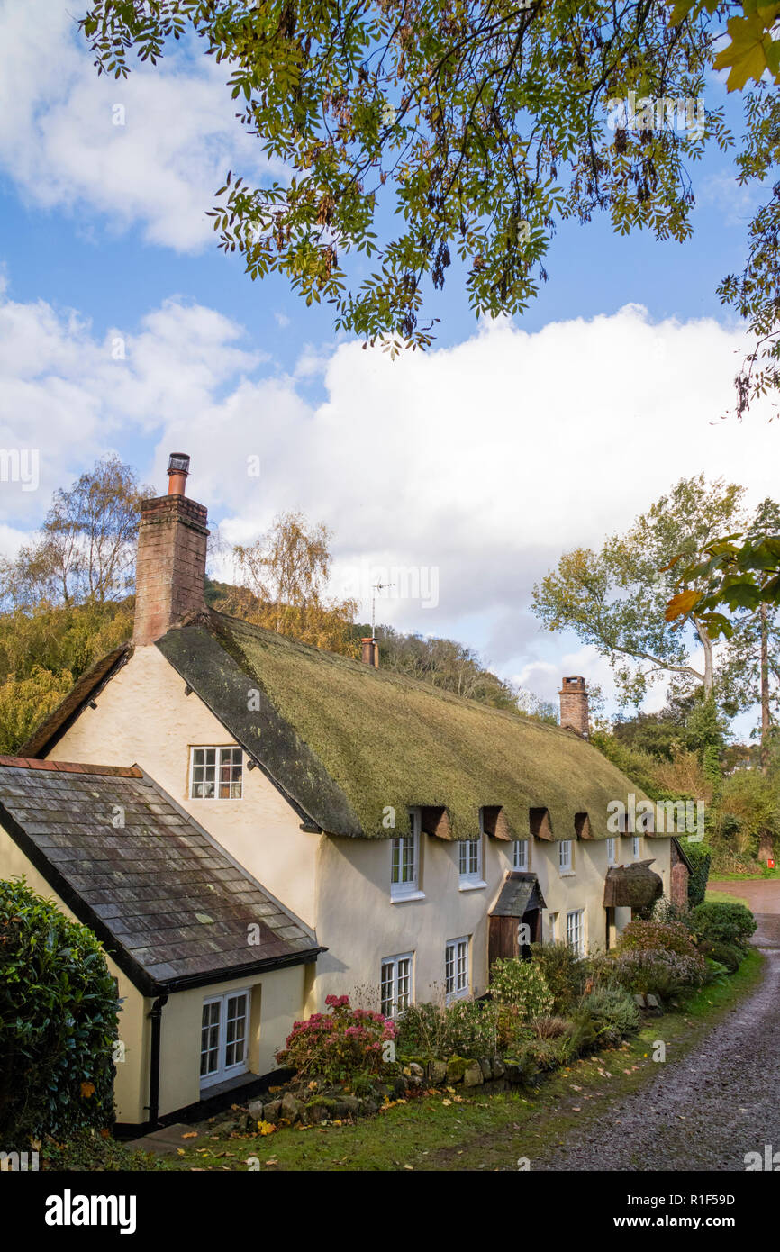 Reetgedeckte Cottages im malerischen Dorf Dunster, Somerset, England, Großbritannien Stockfoto