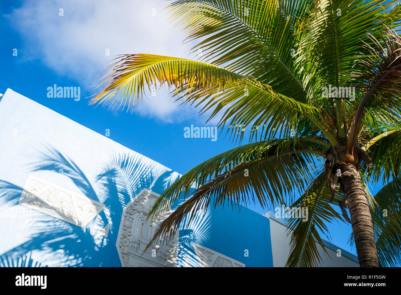 Hellen tropischen Hintergrund der Palmen Schatten auf bunte Art déco-Architektur in South Beach, Miami, Florida, USA Stockfoto