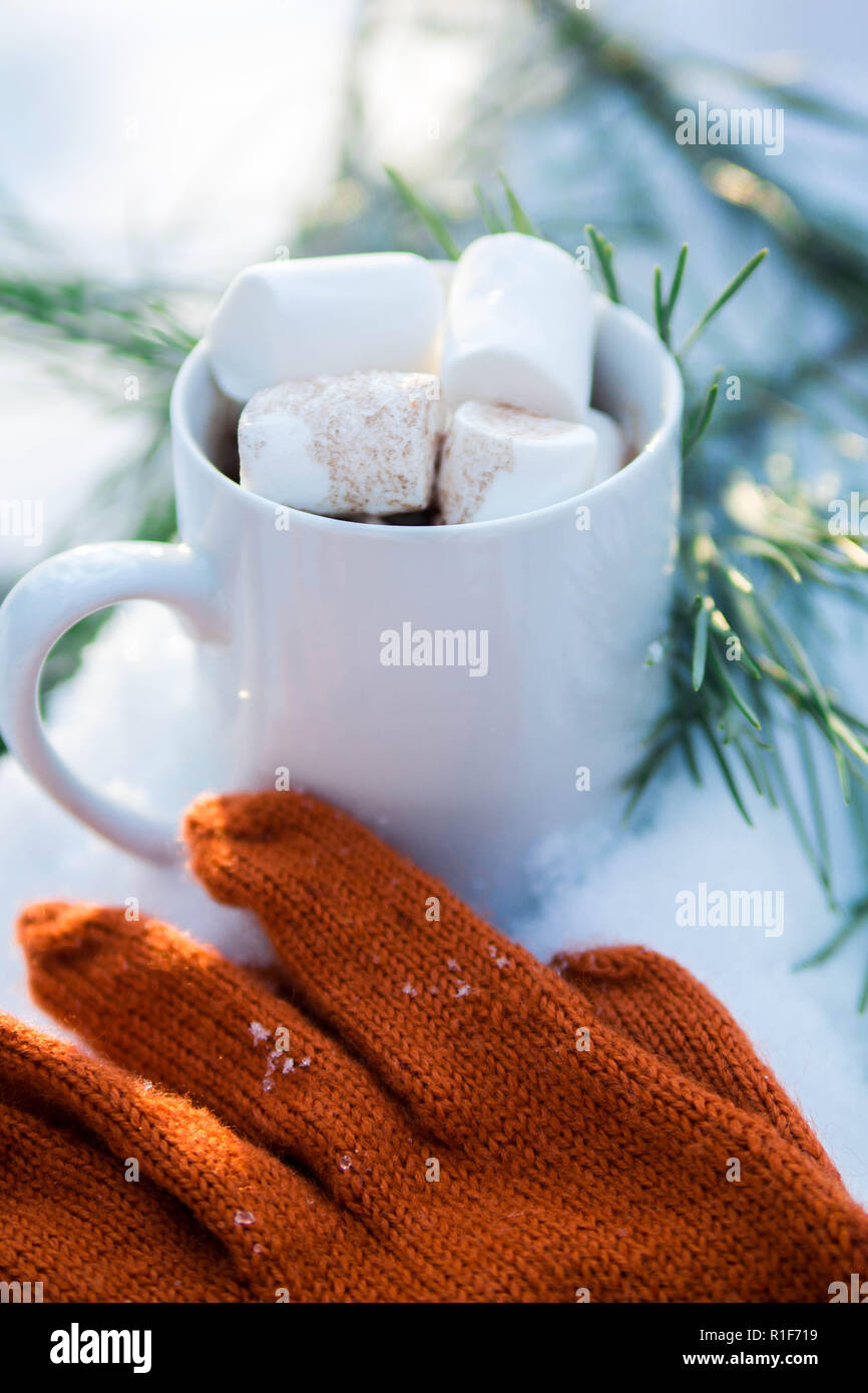 Tasse Kaffee mit Marshmallow im Winter Wald Stockfoto