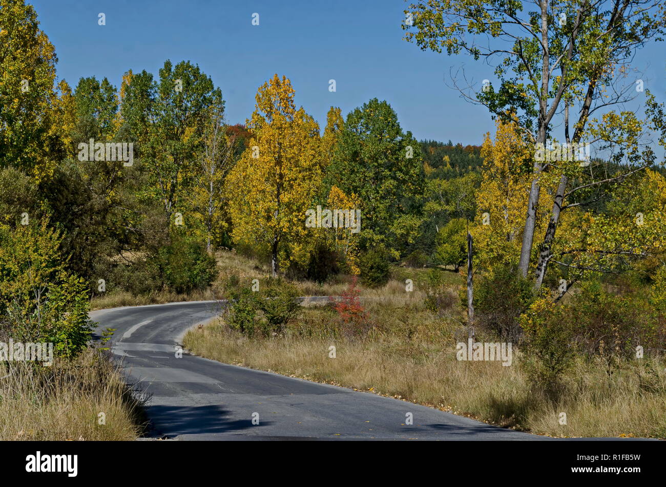 Farbenprächtige Herbstlandschaft von Straßen-, Nadel- und Laubwald mit Glade in den Vitosha Berg, Bulgarien Stockfoto