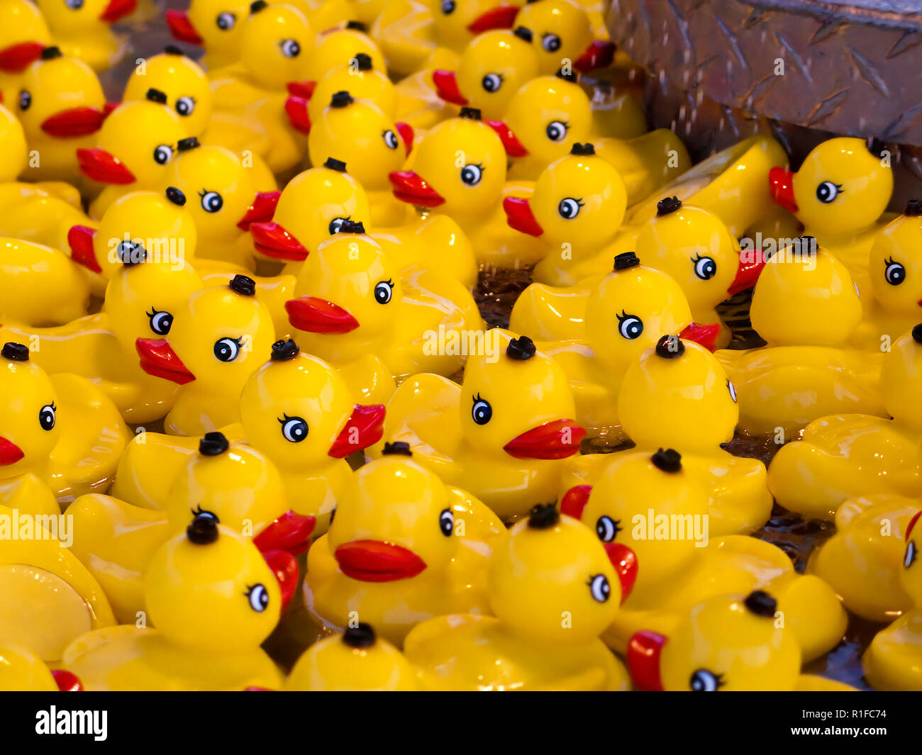 Große Gruppe von gelben Gummienten in einem Pool in einem Vergnügungspark Stockfoto