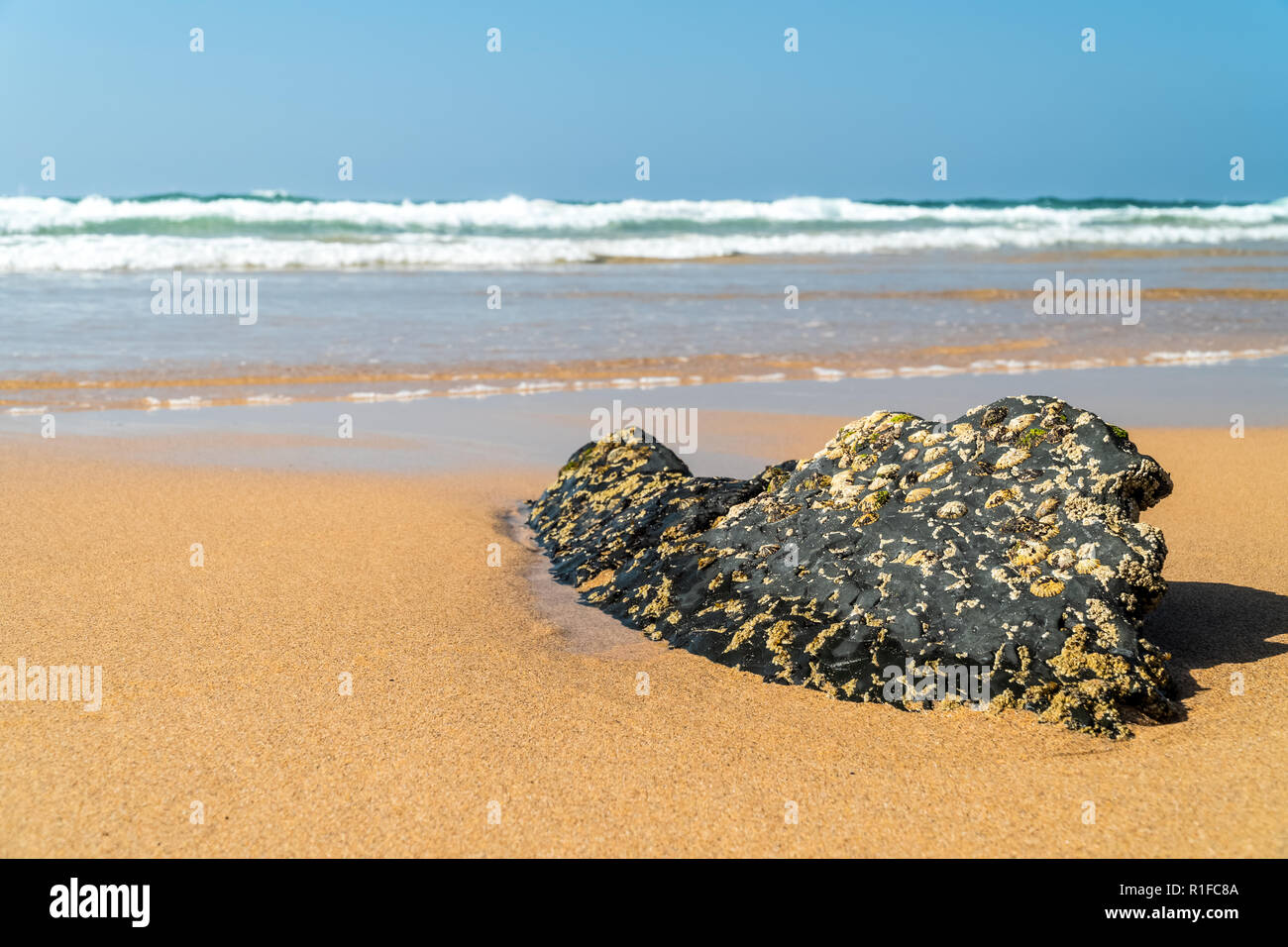 Wellen brechen am Sandstrand Küste Stockfoto