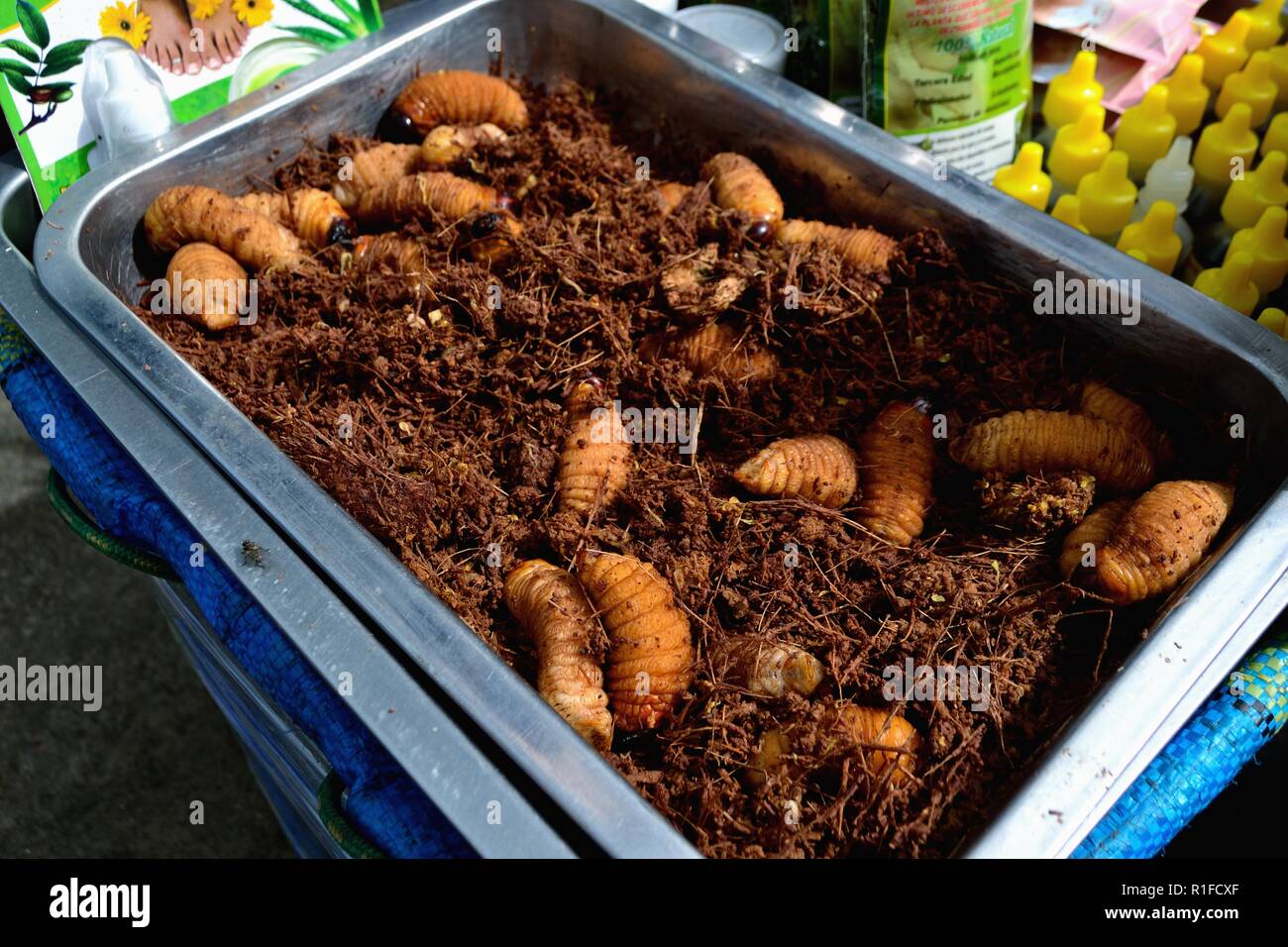 Verkauf Zurit amazon Wurm verwendet als natürliches Heilmittel - Markt in Huaraz. Abteilung der Ancash. PERU Stockfoto