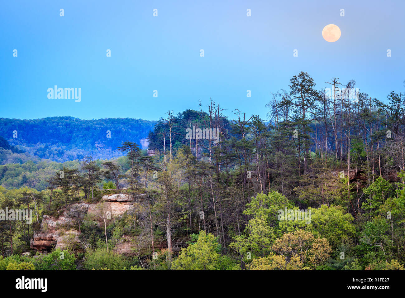 Vollmond über Red River Gorge steigende in Kentucky Stockfoto