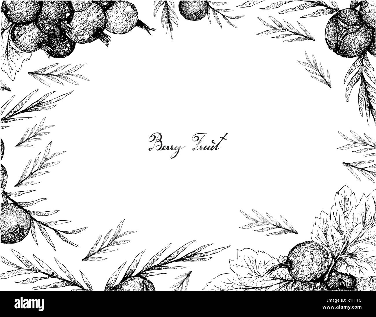 Beerenfrucht, Illustration von Hand gezeichnete Skizze von Jostaberries und Wacholderbeeren isoliert auf weißem Hintergrund. Stock Vektor