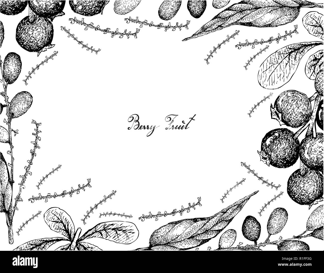 Beerenfrüchte, Illustration von Hand gezeichnete Skizze und Jostaberries Lepisanthes Rubiginosa Früchte isoliert auf weißem Hintergrund. Stock Vektor