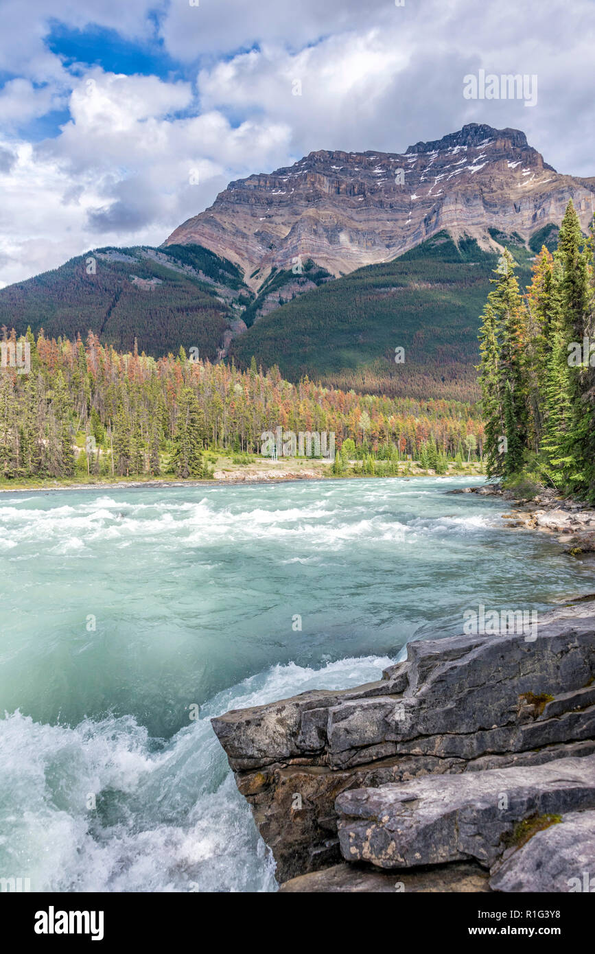 Athabasca Falls in Jasper National Park, Alberta, Kanada Stockfoto