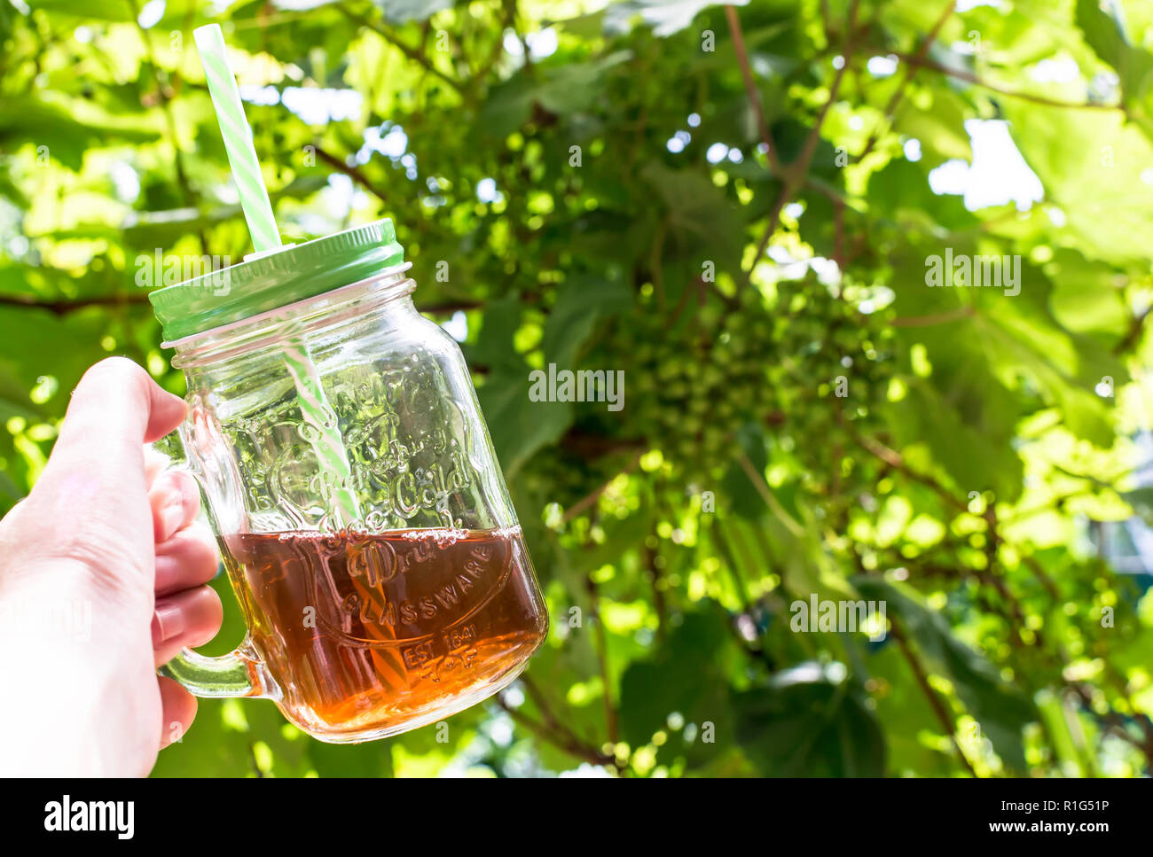 Hand mit einem Glas Becher kalten Tee mit Stroh gegen grüne vined Hintergrund. Sonnigen Sommer Hintergrund Konzept. Stockfoto