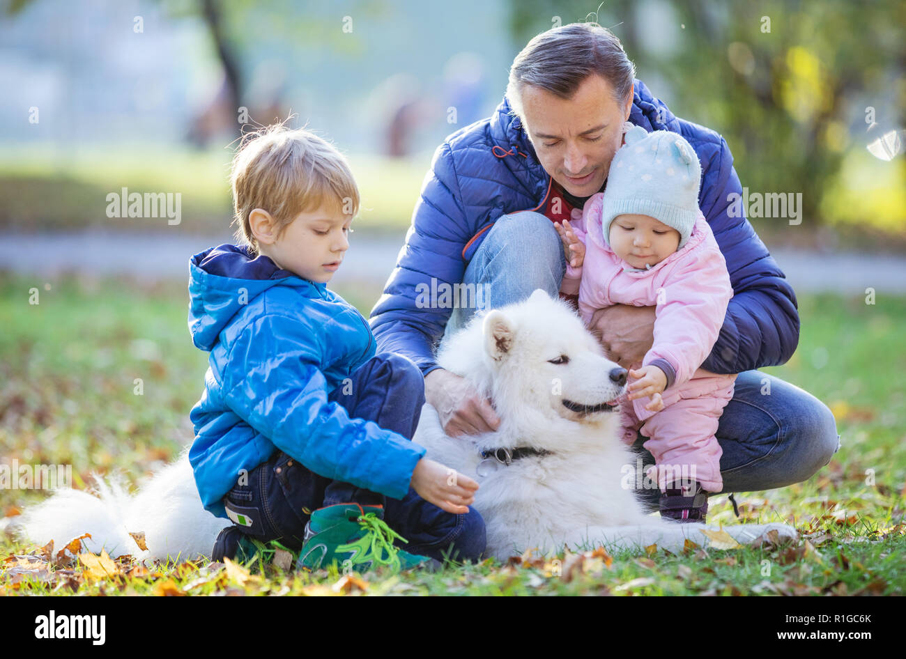 Vater mit Sohn und Tochter spielen mit samojeden Hund im Herbst Park Stockfoto