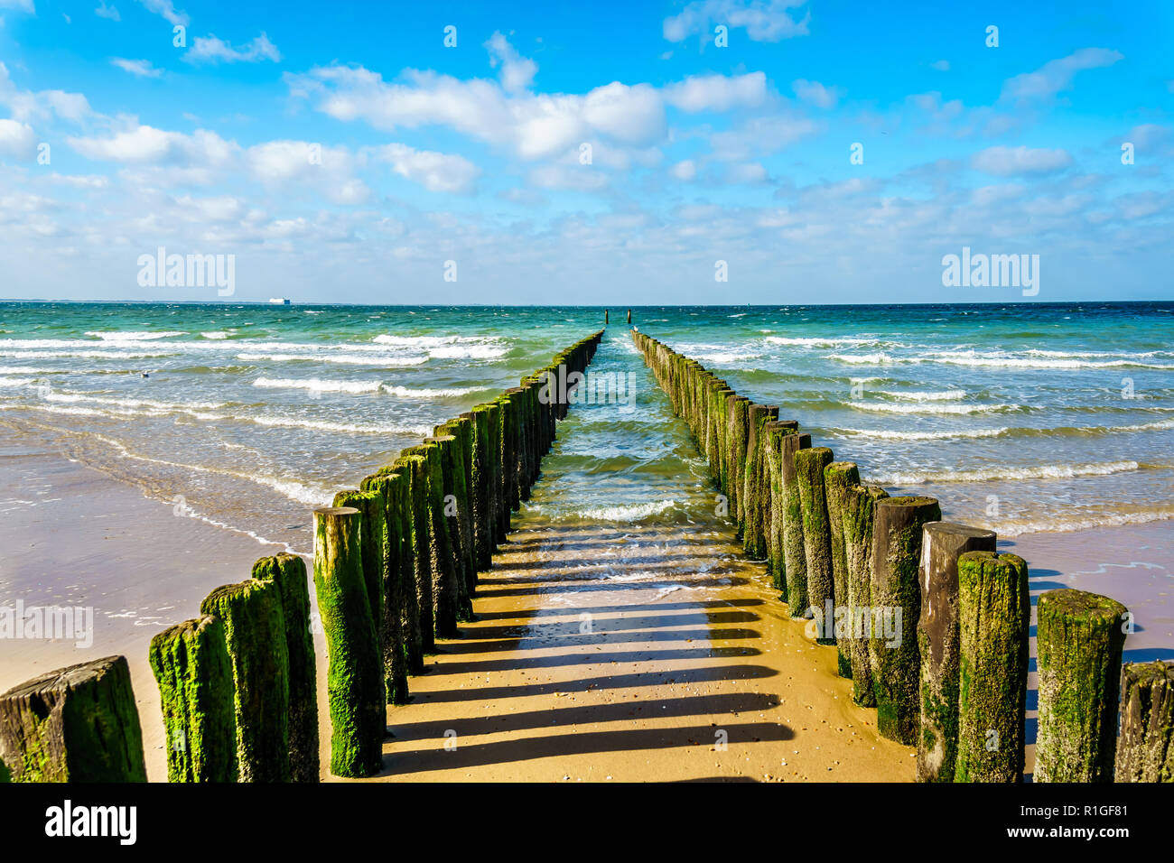 Holz- Beiträge von einem Strand Erosionsschutz System am Strand entlang in die Stadt Vlissingen in Zeeland Provinz in den Niederlanden Stockfoto