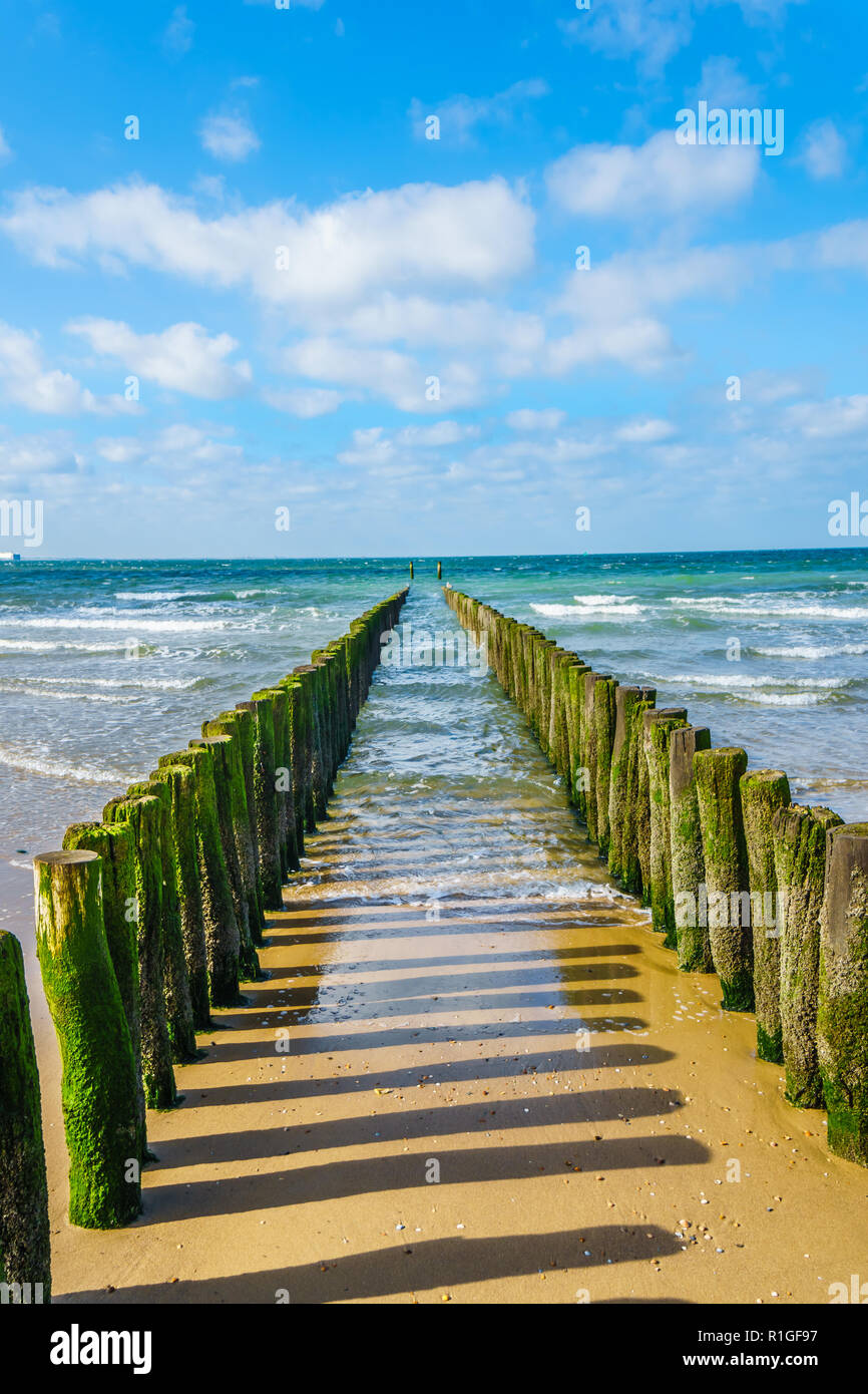 Holz- Beiträge von einem Strand Erosionsschutz System am Strand entlang in die Stadt Vlissingen in Zeeland Provinz in den Niederlanden Stockfoto