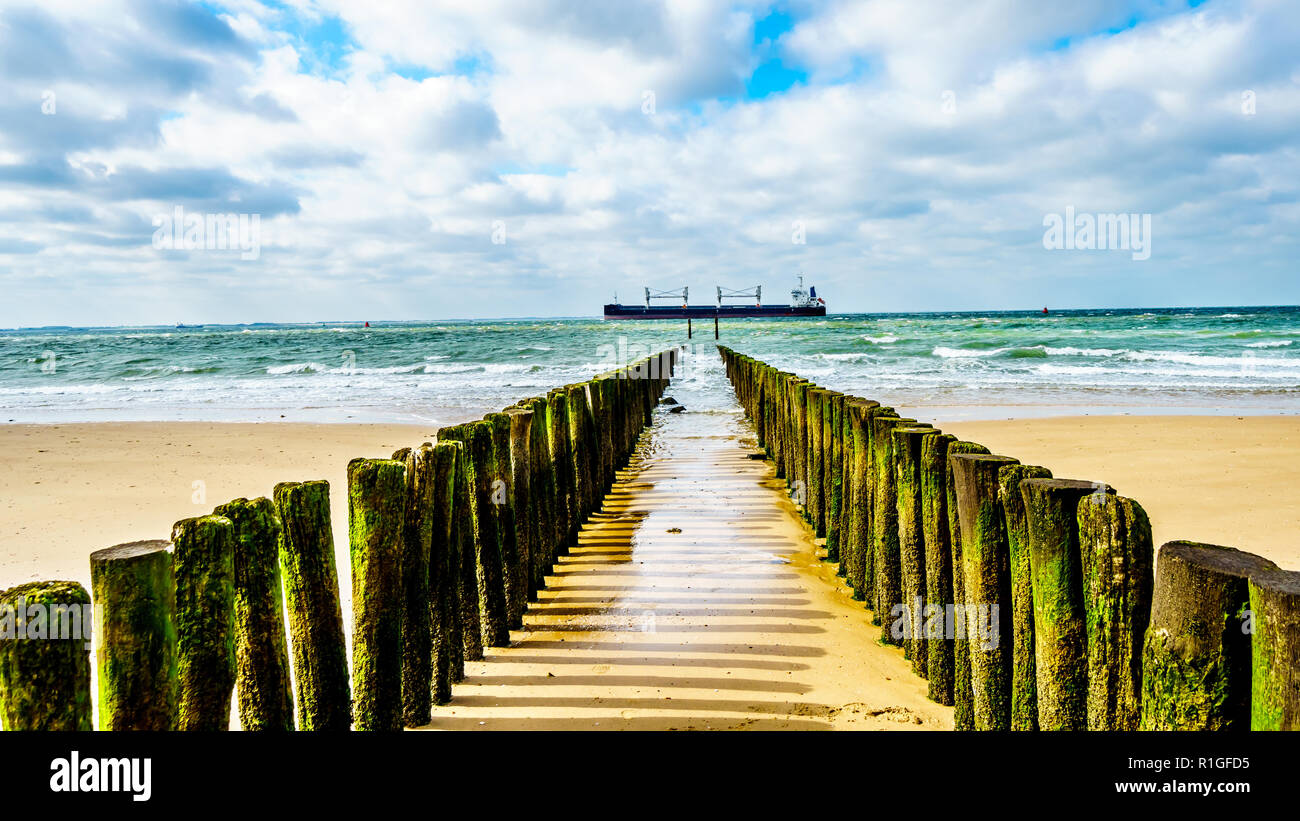 Holz- Beiträge von einem Strand Erosionsschutz System am Strand entlang in die Stadt Vlissingen in Zeeland Provinz in den Niederlanden Stockfoto