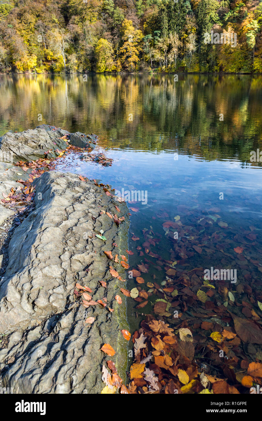 Herbst Szene von vulkanischen Gesteinen in See, Maar bei Ulmen, Ulmen, West Eifel Volcanic Field, Rheinland, Deutschland, Europa Stockfoto