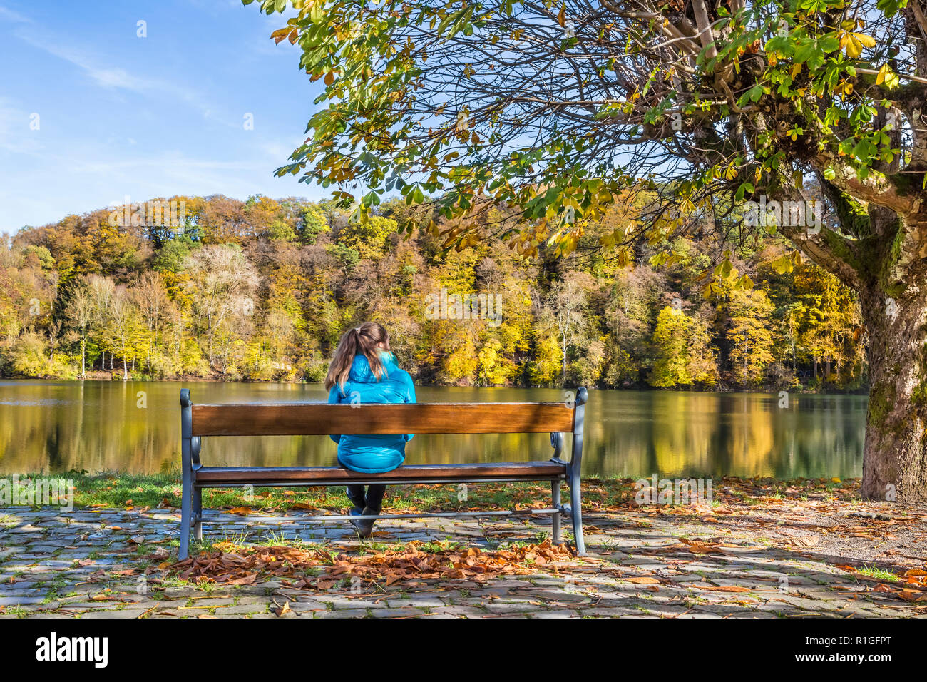 Ansicht der Rückseite des Mädchens auf einer Bank am See im Herbst, Ulmen Maar, West Eifel Volcanic Field, Rheinland, Deutschland, Europa Stockfoto