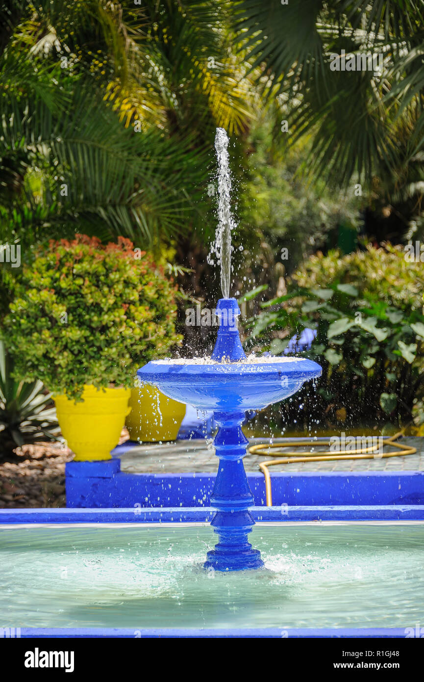 18-04-11. Marrakesch, Marokko. Die Majorelle Garten (Jardin Majorelle,) ist eine zweieinhalb Hektar großen botanischen Garten und Landschaft Garten in Marr Stockfoto