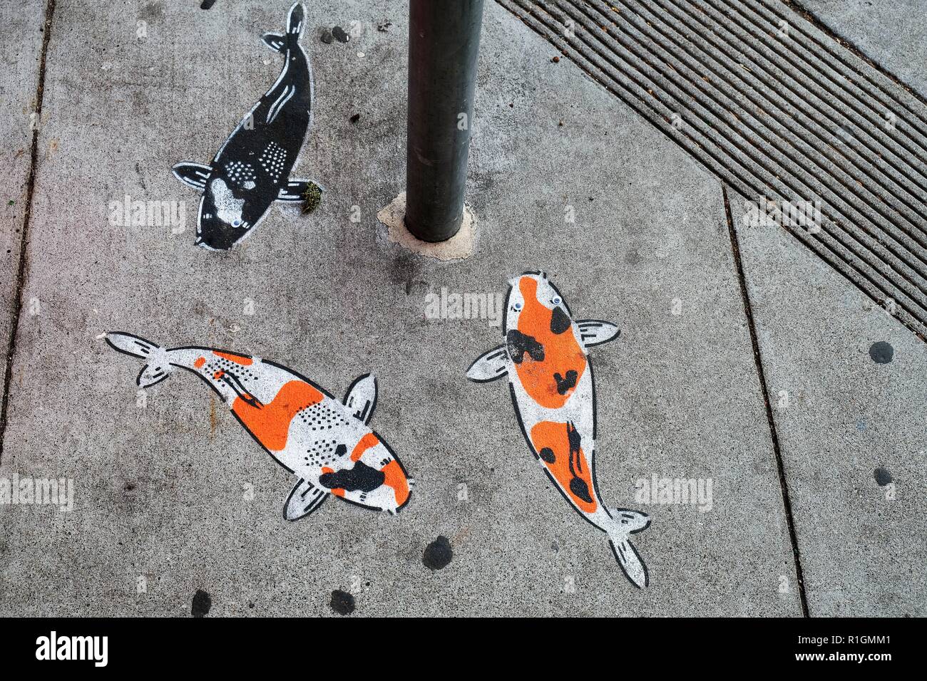 Koi Stencil Art von Jeremy Novy auf einem Bürgersteig in San Francisco, Kalifornien, USA. Stockfoto