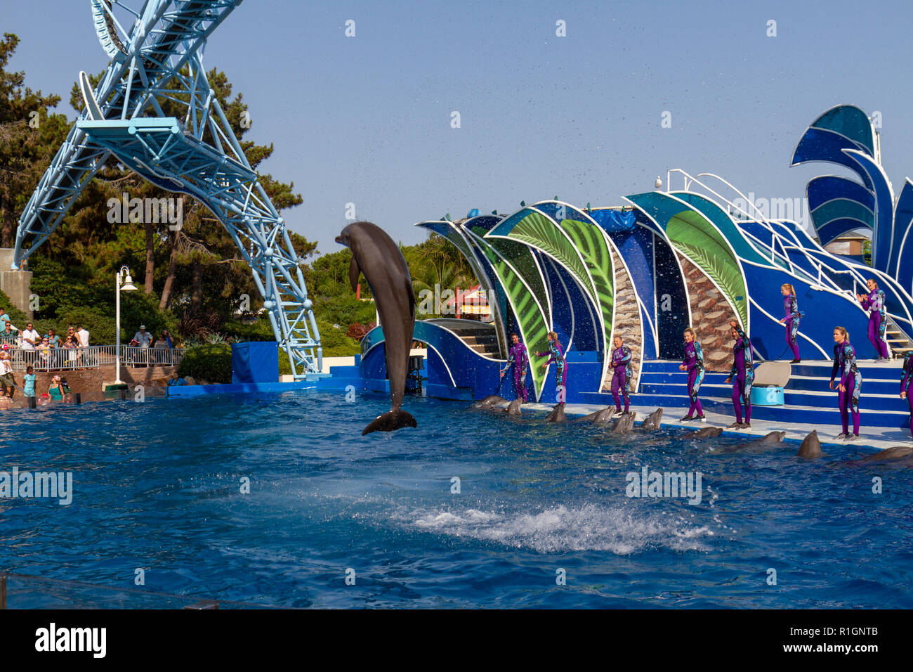 Ein Delphin in der Luft während einer Leistung des Dolphin Tage zeigen, SeaWorld San Diego, California, United States. Stockfoto