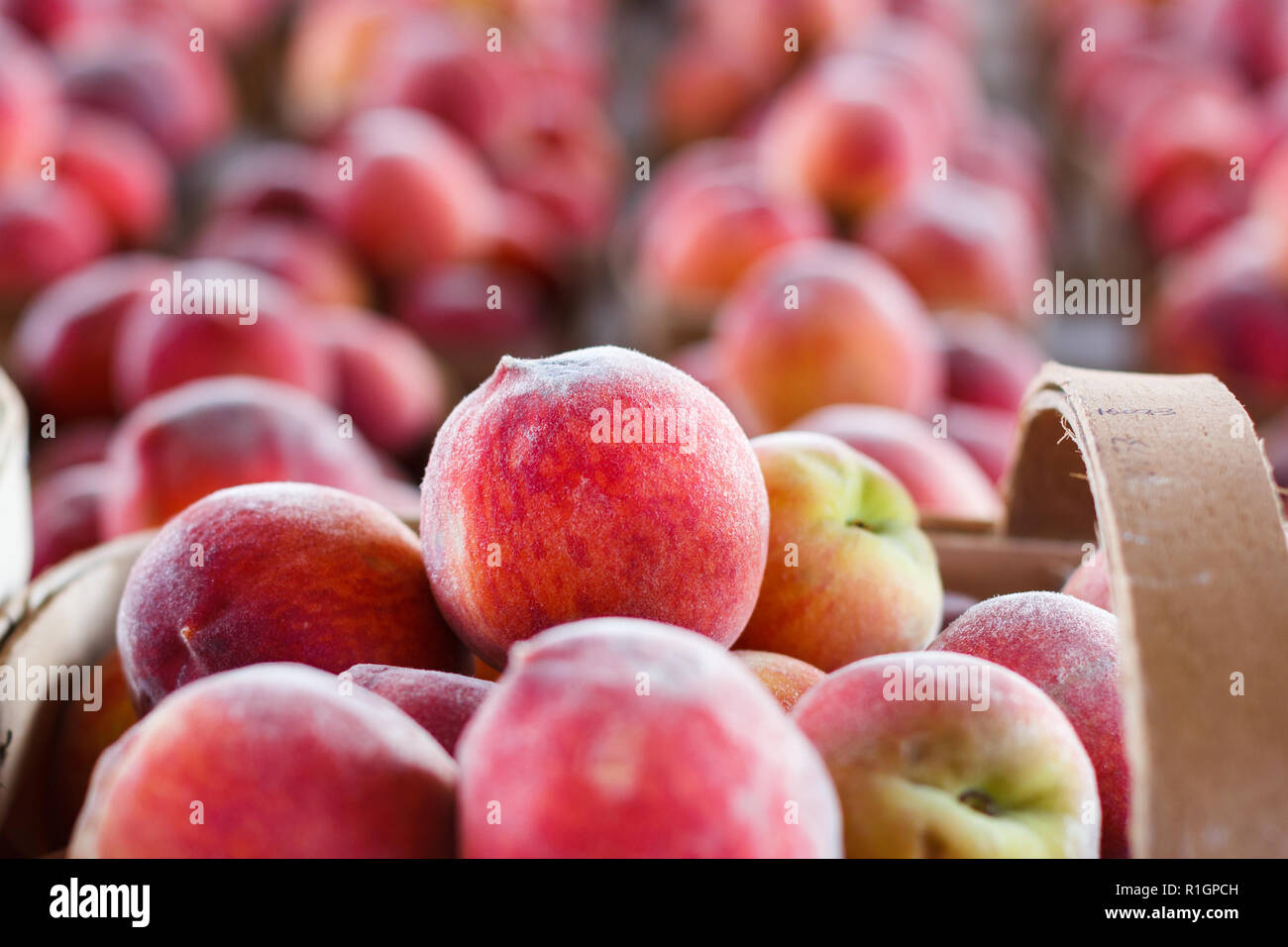 Körbe mit frischen Pfirsichen in einem Produzieren stehen Stockfoto