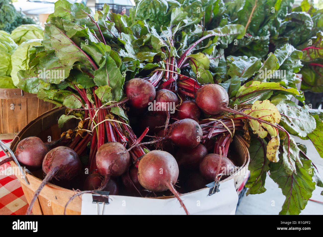 Frische rote Rüben zu einem fertigen Stand Stockfoto