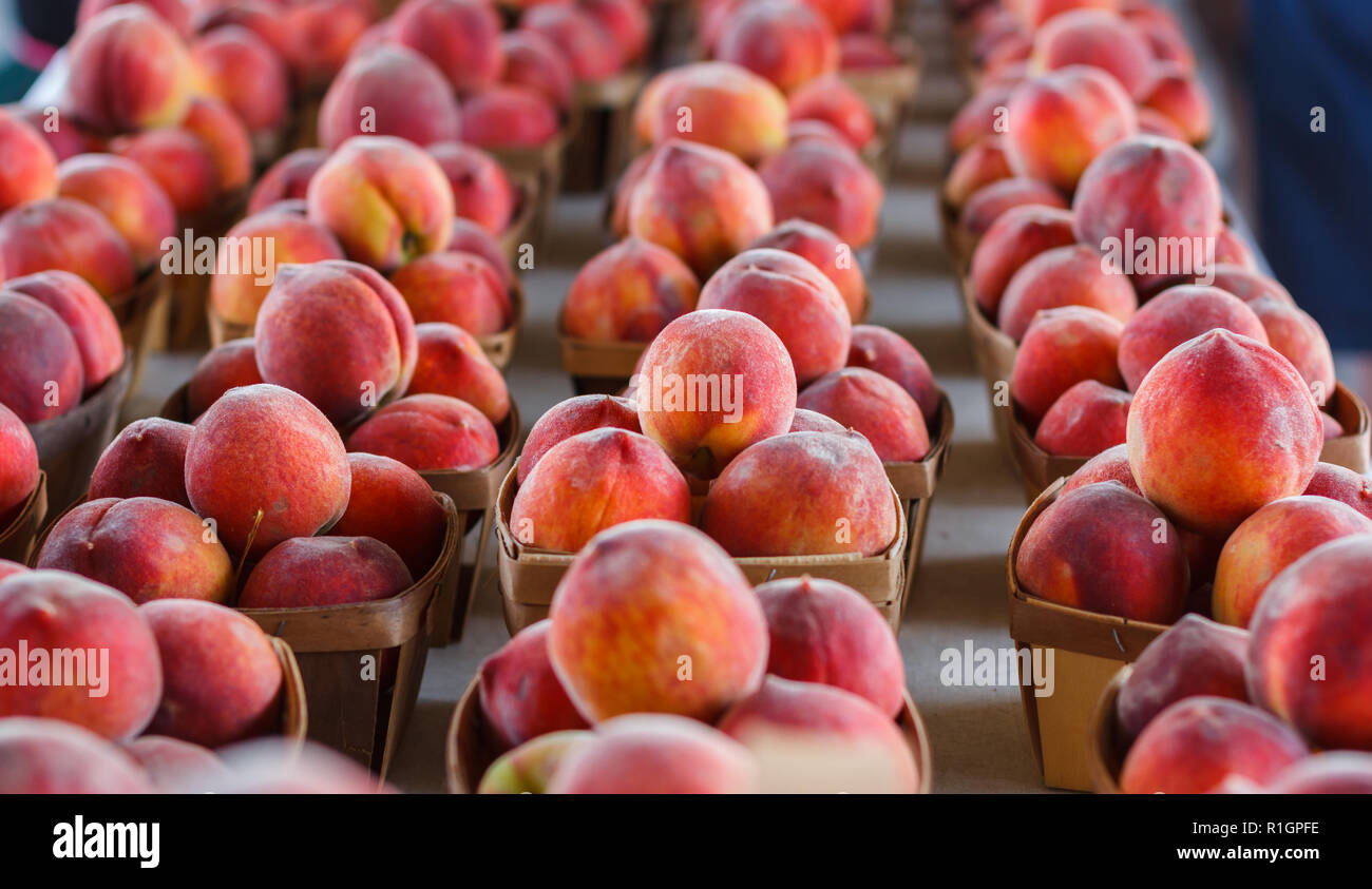 Körbe mit frischen Pfirsichen in einem Produzieren stehen Stockfoto