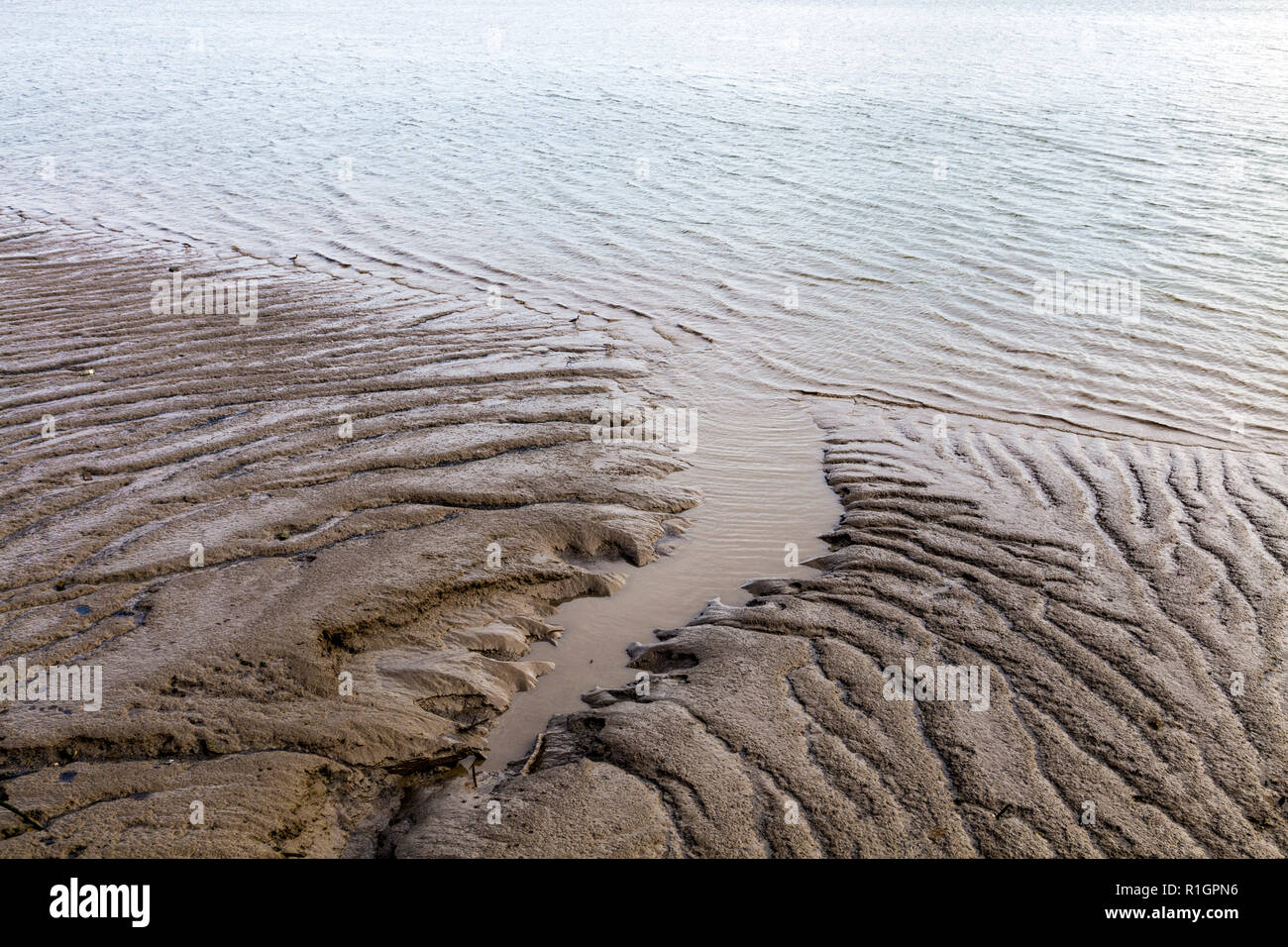 Welligkeit Textur im Schlamm eines Flusses Ufer bei Ebbe, Themse, London, UK Stockfoto