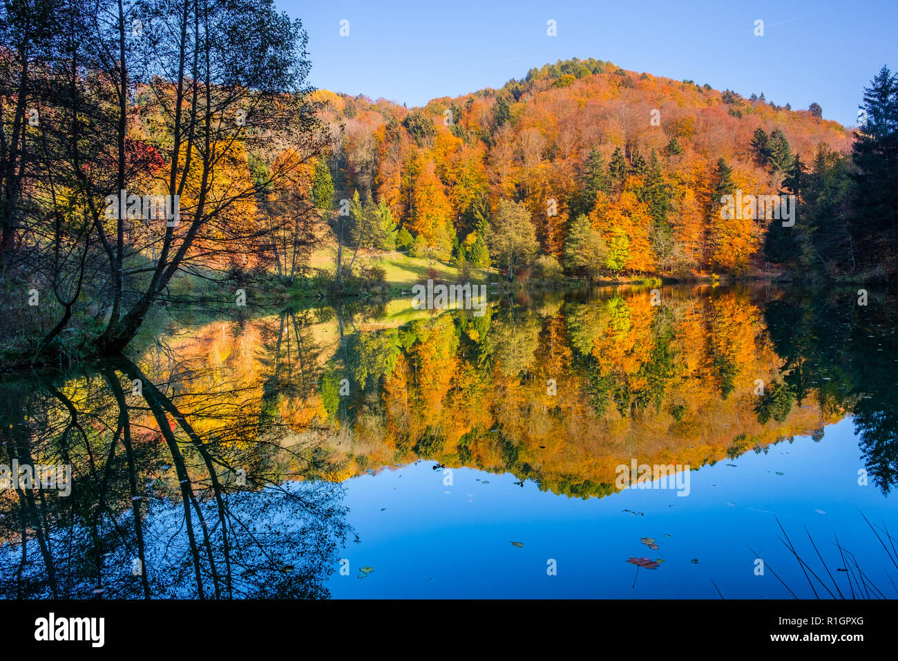Bezaubernde Farben des Herbstes auf den Hügeln entlang der Behälter in die  Aubonne, Schweiz spiegeln sich im Wasser des Sees Stockfotografie - Alamy