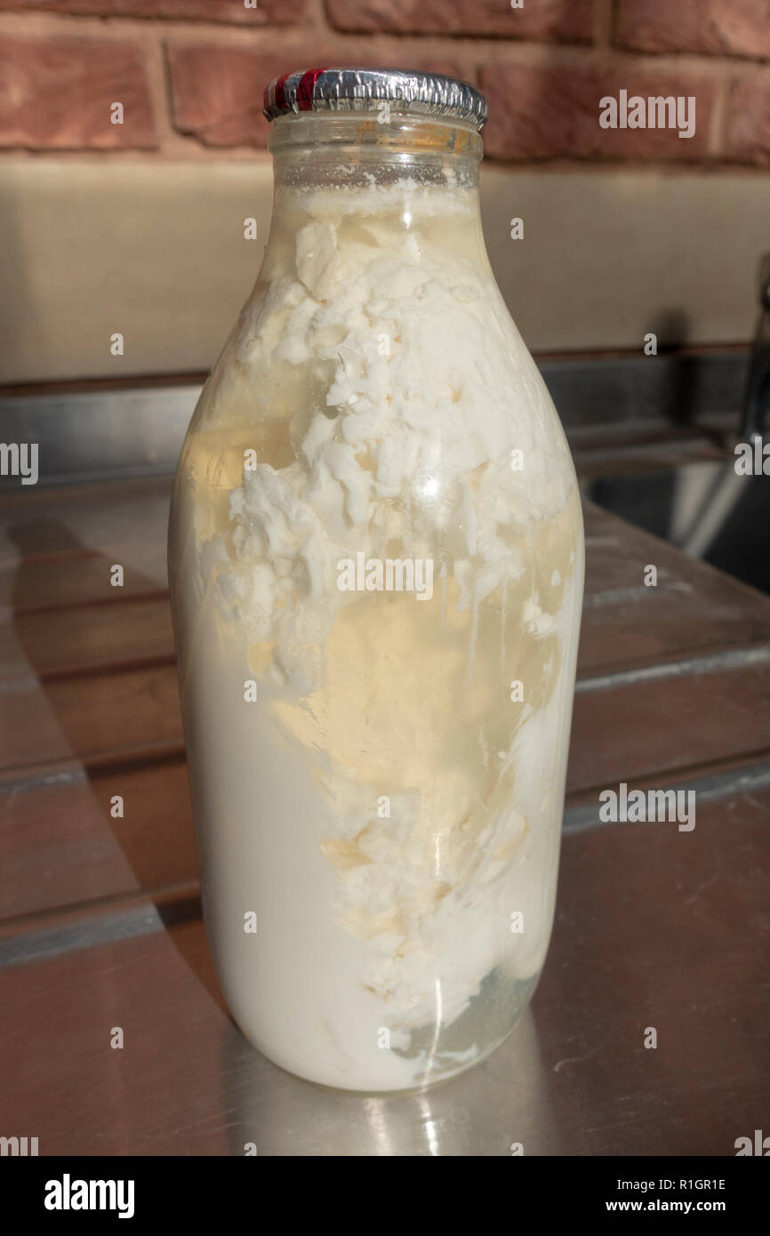 Eine Flasche geronnene Milch (ca. 25 Tage alt) sitzt auf einem Waschbecken in Großbritannien. Stockfoto