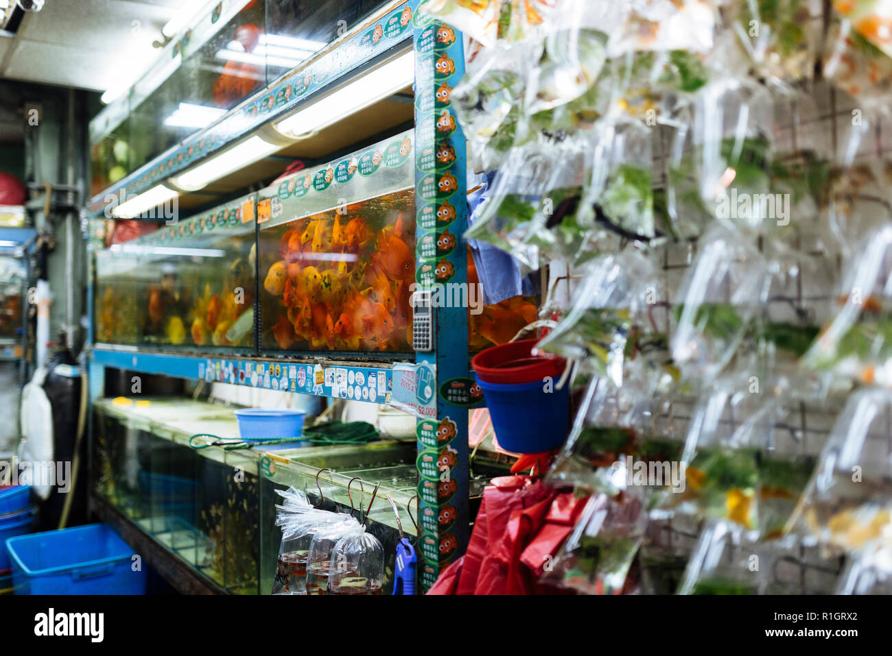 Fisch Markt in Hongkong Stockfoto