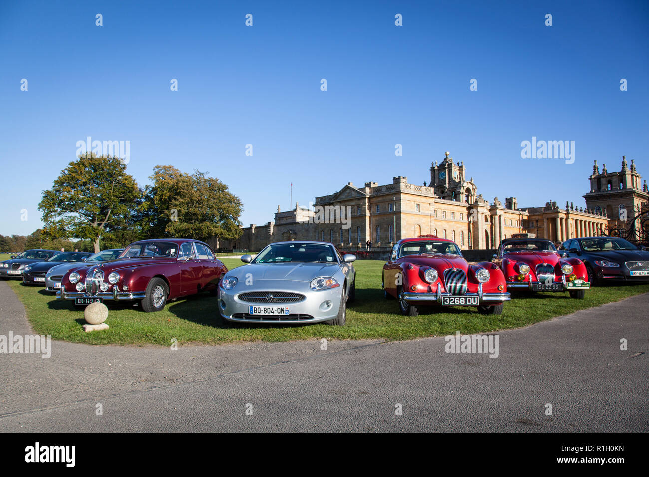 Ein französischer Jaguar Car Club parken ihre Autos am Eingang zum Blenheim Palace. Stockfoto