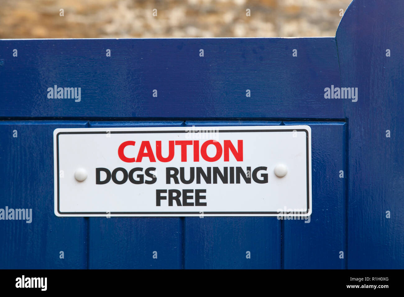 Weiße Zeichen auf blauem hölzerne Tor waring 'Achtung, Hunde frei laufen. Stockfoto