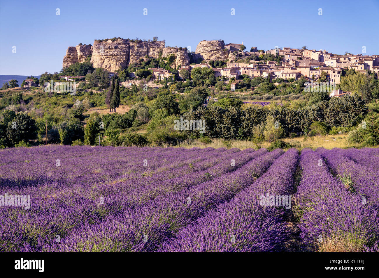 Blick Auf Dorf Saignon Mit Gebiet Der Lavendel In Voller Blute