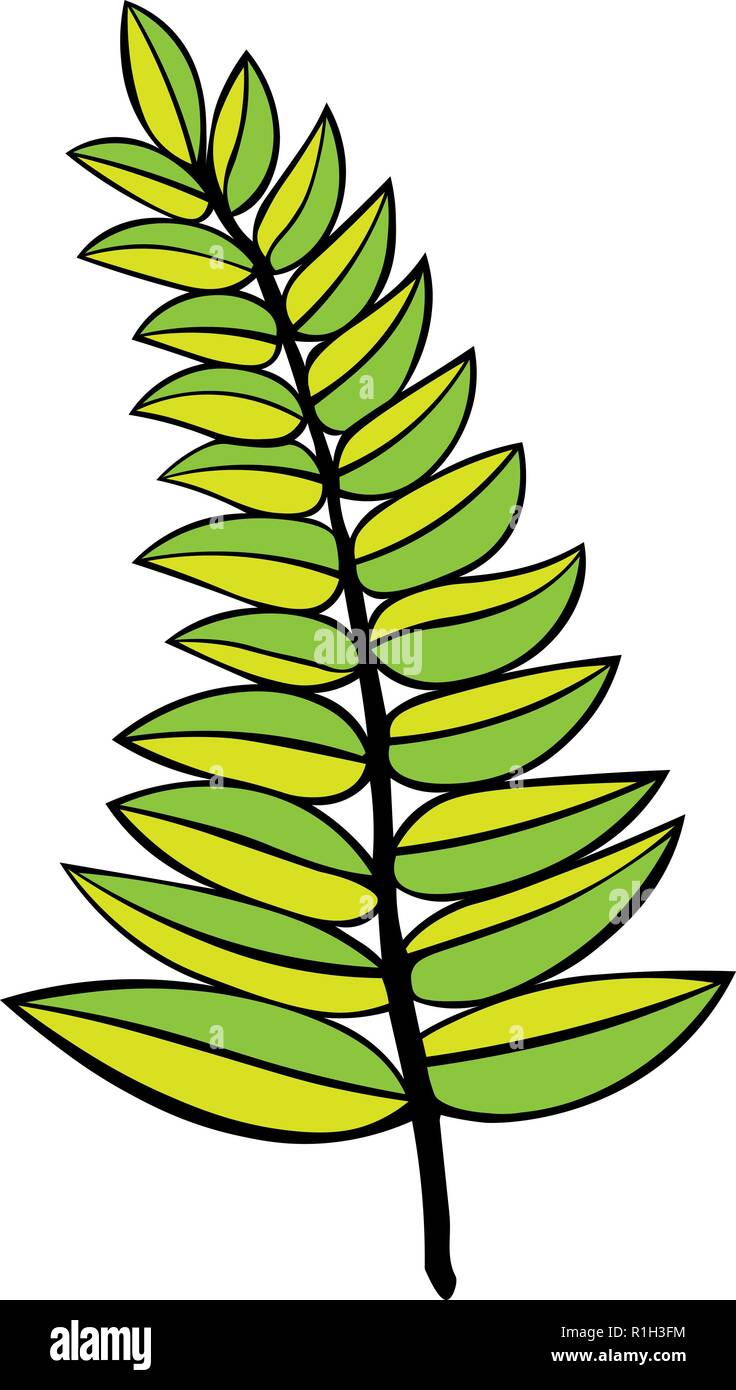 Vektor Kontur Abbildung eines grünen Zweig auf weißem Hintergrund. der Kinder Abbildung. tattoo. Logo. Stock Vektor