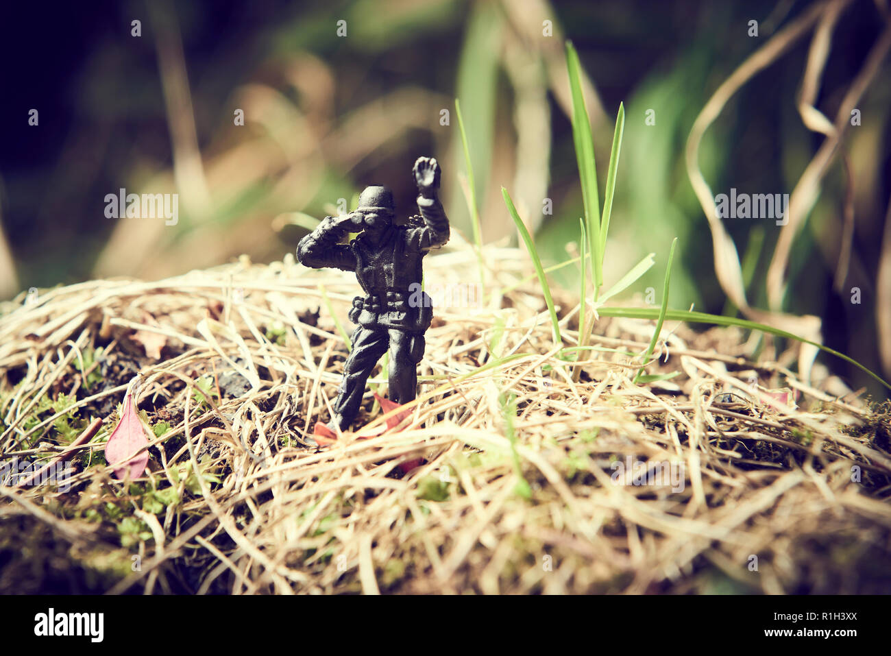 Soldaten im Dschungel zu kämpfen. Konzept Bild von Spielzeug aus Plastik Soldaten in echtem Rasen. Selektive konzentrieren. Stockfoto