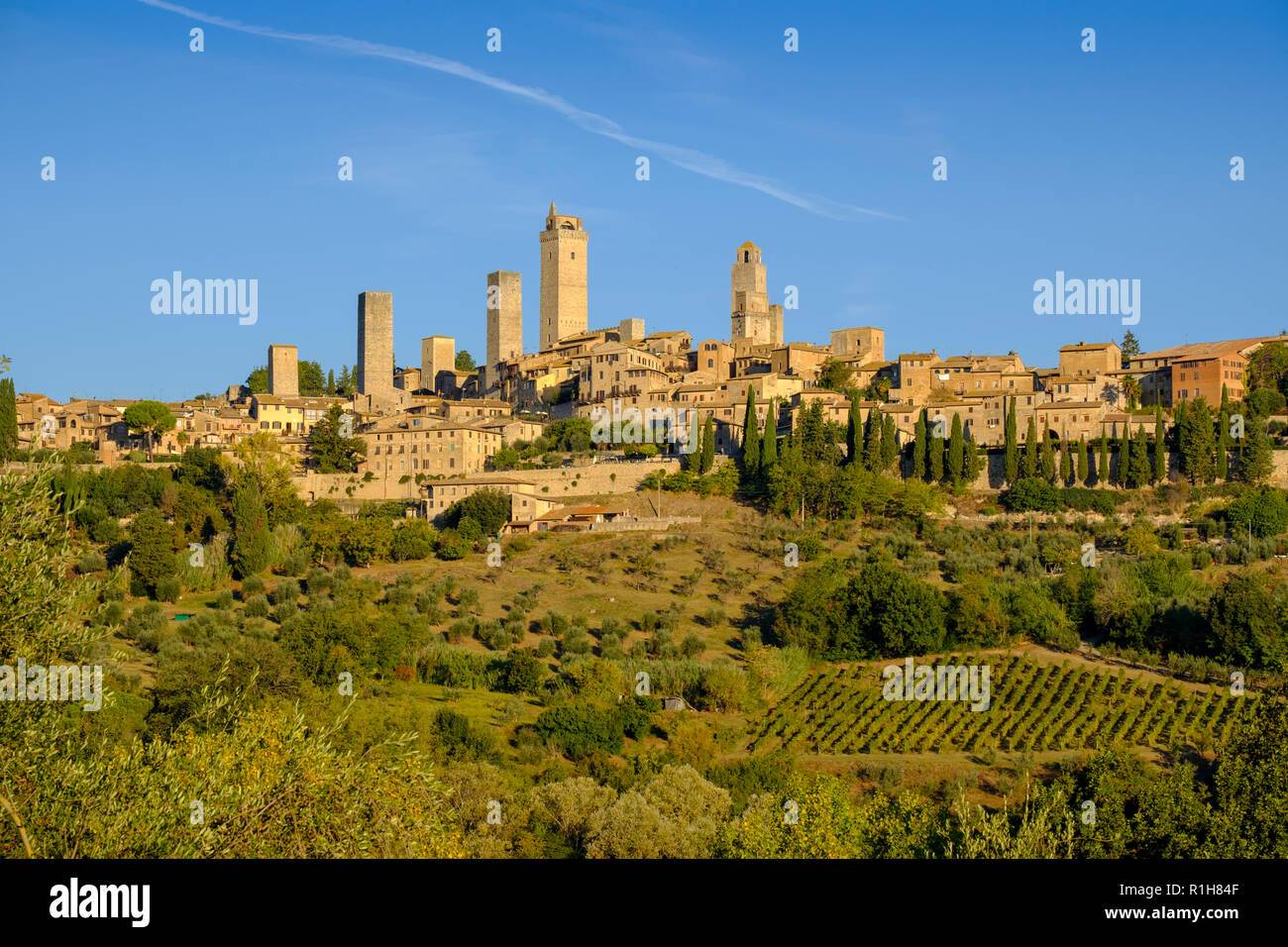 Blick auf das Dorf mit Türmen, San Gimignano im Morgenlicht, San Gimignano, Toskana, Italien Stockfoto