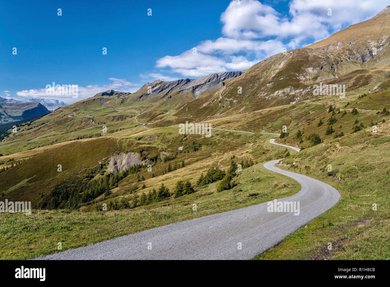 Große Scheidegg, Berner Alpen, Schweiz Stockfoto