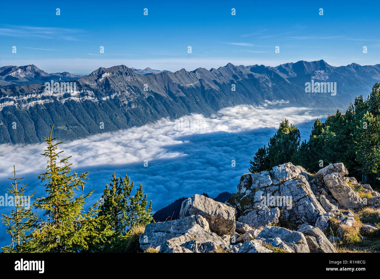 Brienzersee im Nebel, Blick von der Daube, Schynige Platte, Berner Alpen, Schweiz Stockfoto